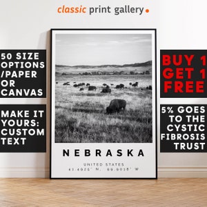 Nebraska Poster Print, Nebraska Wall Art, Housewarming Gift, Housewarming, Large Wall Art, Living Room Art, New Home Gift,  USA,5010d