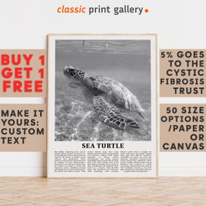 Sea Turtle Print, Sea Turtle Wall Art Poster, Black White Classroom Teacher Gift Present Kids Room Nursery Photography Biology Art 14803a