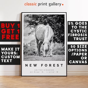 New Forest Print,New Forest Wall Art,New Forest Black and White Poster,Personalized Birthday Travel Gift Present Artwork Uk 12565a