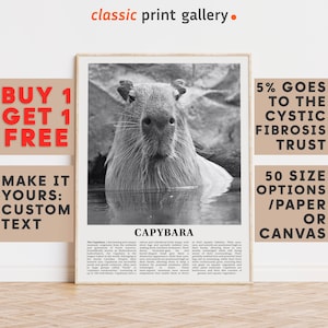 Capivara Posters for Sale