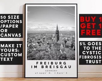 Freiburg im Breisgau Poster Black and White Print, Freiburg im Breisgau Wall Art,Freiburg im Breisgau Travel Poster Photo,Germany,4614a