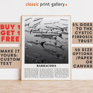 Barracuda Print, Barracuda Wall Art Poster, Black White Classroom Teacher Gift Present Kids Room Nursery Photography Biology Art 14546a