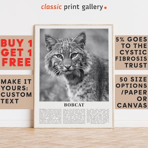 Bobcat Print, Bobcat Wall Art Poster, Black White Classroom Teacher Gift Present Kids Room Nursery Photography Artwork Biology Art 14564a