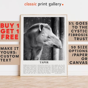 Tapir Print, Tapir Wall Art Poster, Black White Classroom Teacher Gift Present Kids Room Nursery Photography Artwork Biology Art 14842a