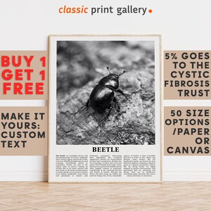 Beetle Print, Beetle Wall Art Poster, Black White Classroom Teacher Gift Present Kids Room Nursery Photography Artwork Biology Art 14553a