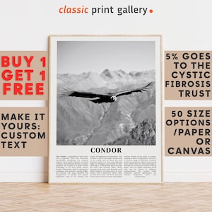 Condor Print, Condor Wall Art Poster, Black White Classroom Teacher Gift Present Kids Room Nursery Photography Artwork Biology Art 14605a