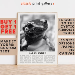 Salamander Print, Salamander Wall Art Poster, Black White Classroom Teacher Gift Present Kids Room Nursery Photography Biology Art 14795a