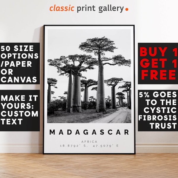 Madagascar Poster Black and White Print, Madagascar Wall Art, Madagascar Travel Poster, Madagascar Photo Print, Antanarivo, Africa, 2778