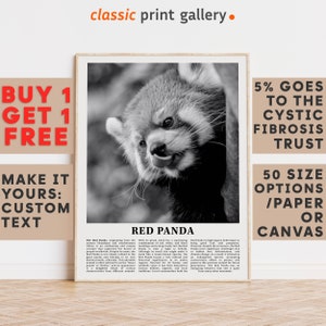 Red Panda Print, Red Panda Wall Art Poster, Black White Classroom Teacher Gift Present Kids Room Nursery Photography Biology Art 14783a