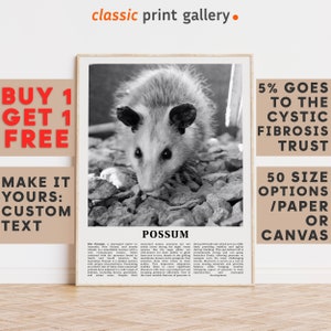 Possum Print, Possum Wall Art Poster, Black White Classroom Teacher Gift Present Kids Room Nursery Photography Artwork Biology Art 14772a