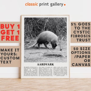 Aardvark Print, Aardvark Wall Art Poster, Black White Classroom Teacher Gift Present Kids Room Nursery Photography Biology Art 14520a