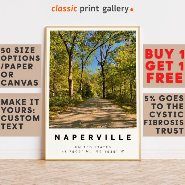 Naperville Poster Colorful Print, Naperville Wall Art, Naperville Photo Decor, Naperville Gift Travel Print,Illinois,Birthday Gift,9791