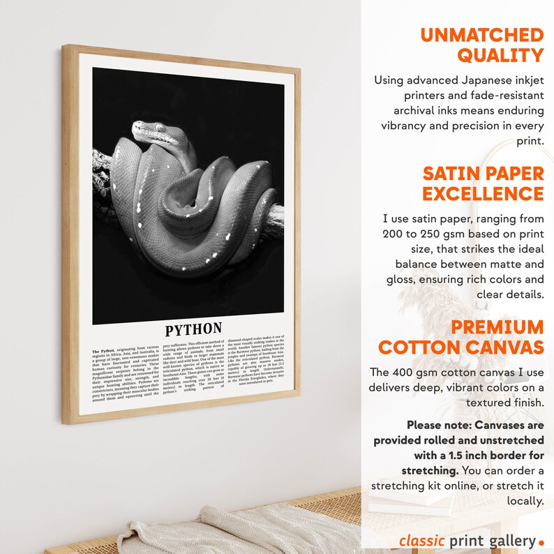 Python Print, Python Wall Art Poster, Black White Classroom Teacher Gift Present Kids Room Nursery Photography Artwork Biology Art 14777a afbeelding 6