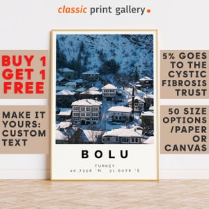 Bolu Print,Bolu Wall Art,Bolu Colorful Poster,Personalized Birthday Travel Gift Present Photography Artwork Turkey 14505