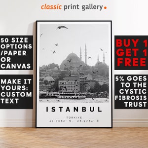 Istanbul Print Black and White Photo, Istanbul Wall Art, Istanbul Travel Poster, Istanbul Photo Print, Turkey Wall Art, Turkiye Decor, 3628