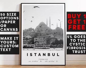 Istanbul Print Black and White Photo, Istanbul Wall Art, Istanbul Travel Poster, Istanbul Photo Print, Turkey Wall Art, Turkiye Decor, 3628