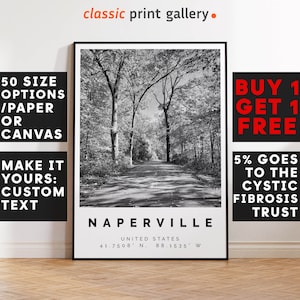 Naperville Poster Black and White Print, Naperville Wall Art, Naperville Travel Poster, Naperville Photo Print, Illinois, USA,5201