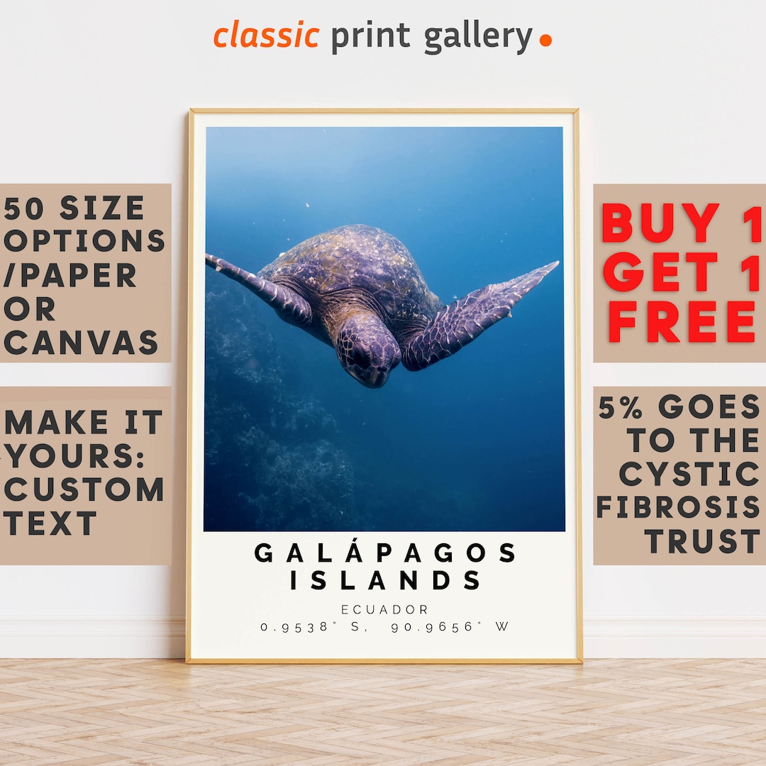 Galápagos Islands Poster Colorful Print, Galápagos Islands Wall Art ...