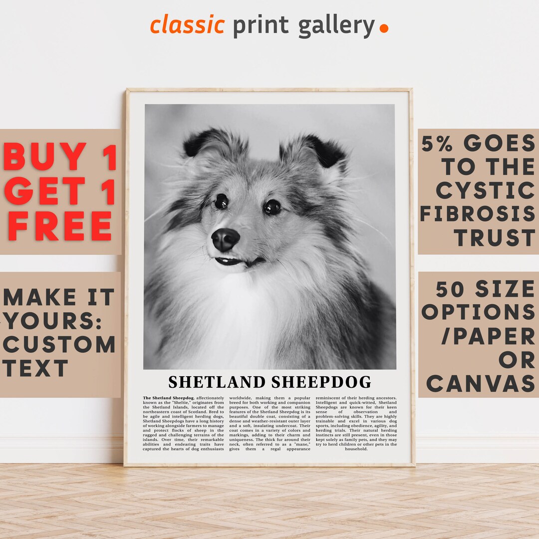 Shetland Sheepdog Print, Shetland Sheepdog Wall Art Poster, Black