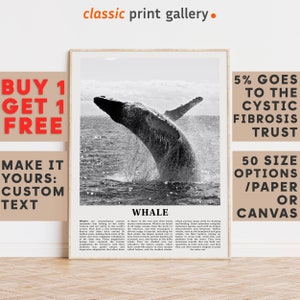 Whale Print, Whale Wall Art Poster, Black White Classroom Teacher Gift Present Kids Room Nursery Photography Artwork Biology Art 14866a