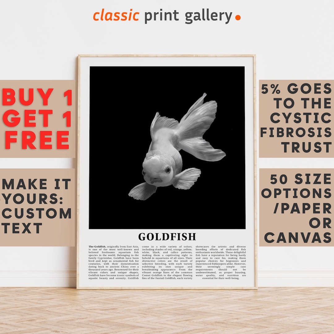 Goldfish Print Goldfish Wall Art Poster Black White Etsy