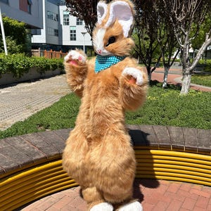 Realistic Rabbit Fursuit Full Body ,Realistic Rabbit Furry Mask,Bunny Furry Head,Rabbit Cosplay Props,Cheap fursuit heads