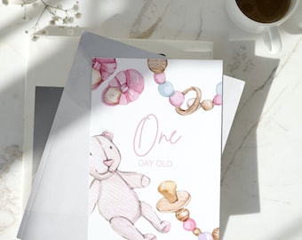 Digital Pink Mile Stone Cards / Milestone Cards / Baby Milestones / First Year / Baby Monthly Cards / Baby Daily Cards