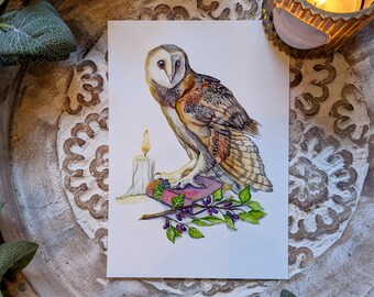 Barn Owl High-Quality Watercolour Print