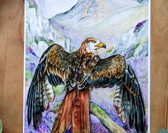 Red Kite Watercolour Print, British Wildlife Illustration