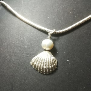 May include: A silver chain necklace with a silver seashell pendant and a white pearl.