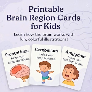 Cartões imprimíveis sobre as regiões cerebrais para crianças | Conjunto educacional divertido para aprender as partes do cérebro com recursos visuais simples e explicações fáceis