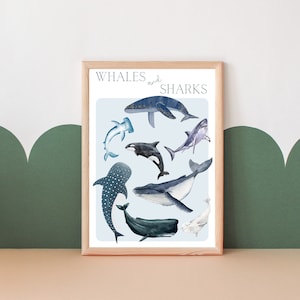 Lámina de ballenas y tiburones. Decoración para habitación de niños y niñas con temática marina (solo lámina)