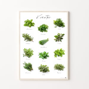 May include: A white poster with the word "Krauter" in black script at the top. The poster features 12 different types of herbs, each with a photo and the name of the herb in German below it.