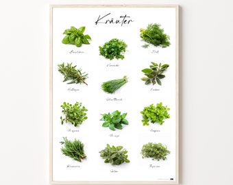 Kitchen Herb Poster: Herbs such as oregano, basil, chives, and spices as a high-resolution poster in A2 format, available as a digital download in PDF format.