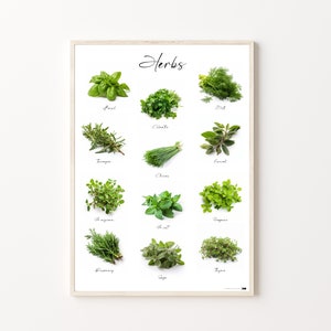 May include: A white poster with the word "Herbs" at the top. The poster features 12 different types of herbs, each with a photo and the name of the herb printed below.