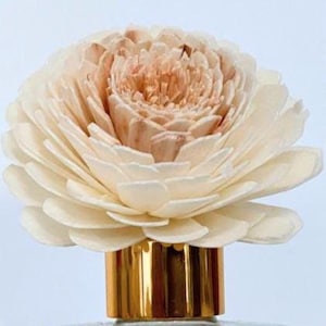 Decorative Jasmine Flower Diffuser with Rope | 8cm Flower for Aromatherapy | Home Decor | Handmade Sola Wood Flower