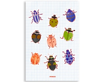Beetle Sticker sheet | Bug Sticker Sheet | Nature Stickers | Spring | Back to School