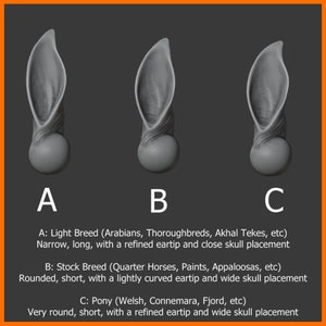 2+ PAIRS Replacement Ears for 1:9 Breyer Model Horses