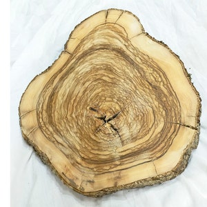 Olivenholzplatten in verschiedenen Größen, Olivenholzscheiben mit Rinde, Olivenholz für Epoxidharz, Holz mit roher Kante