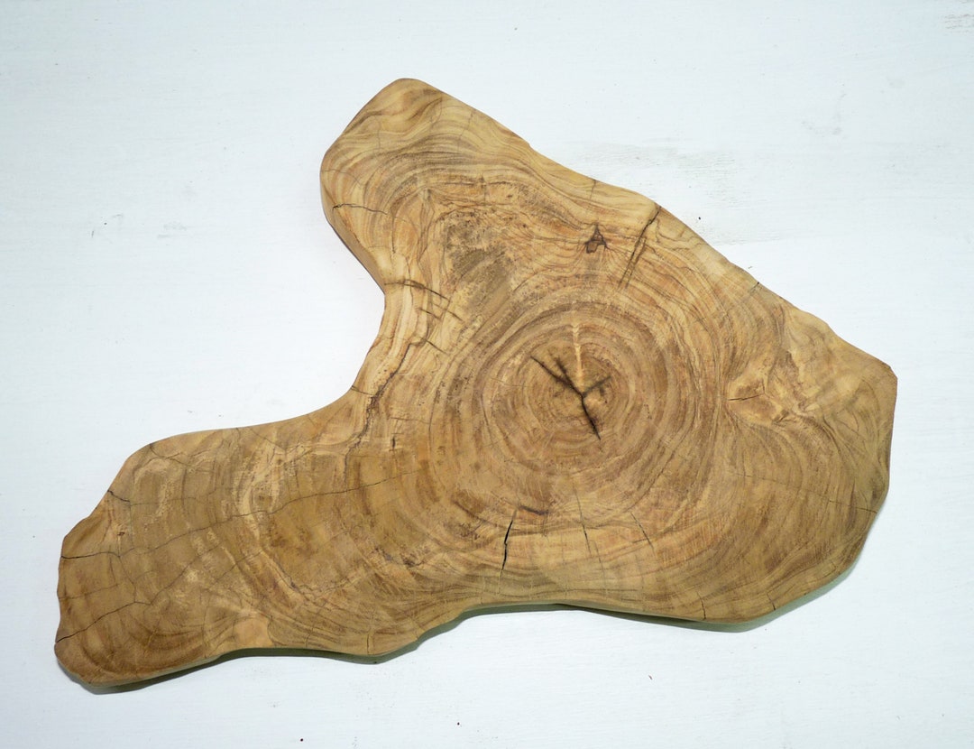 Olive Wood Slice Olive Wood Slices for Crafts and Tea Making Etsy