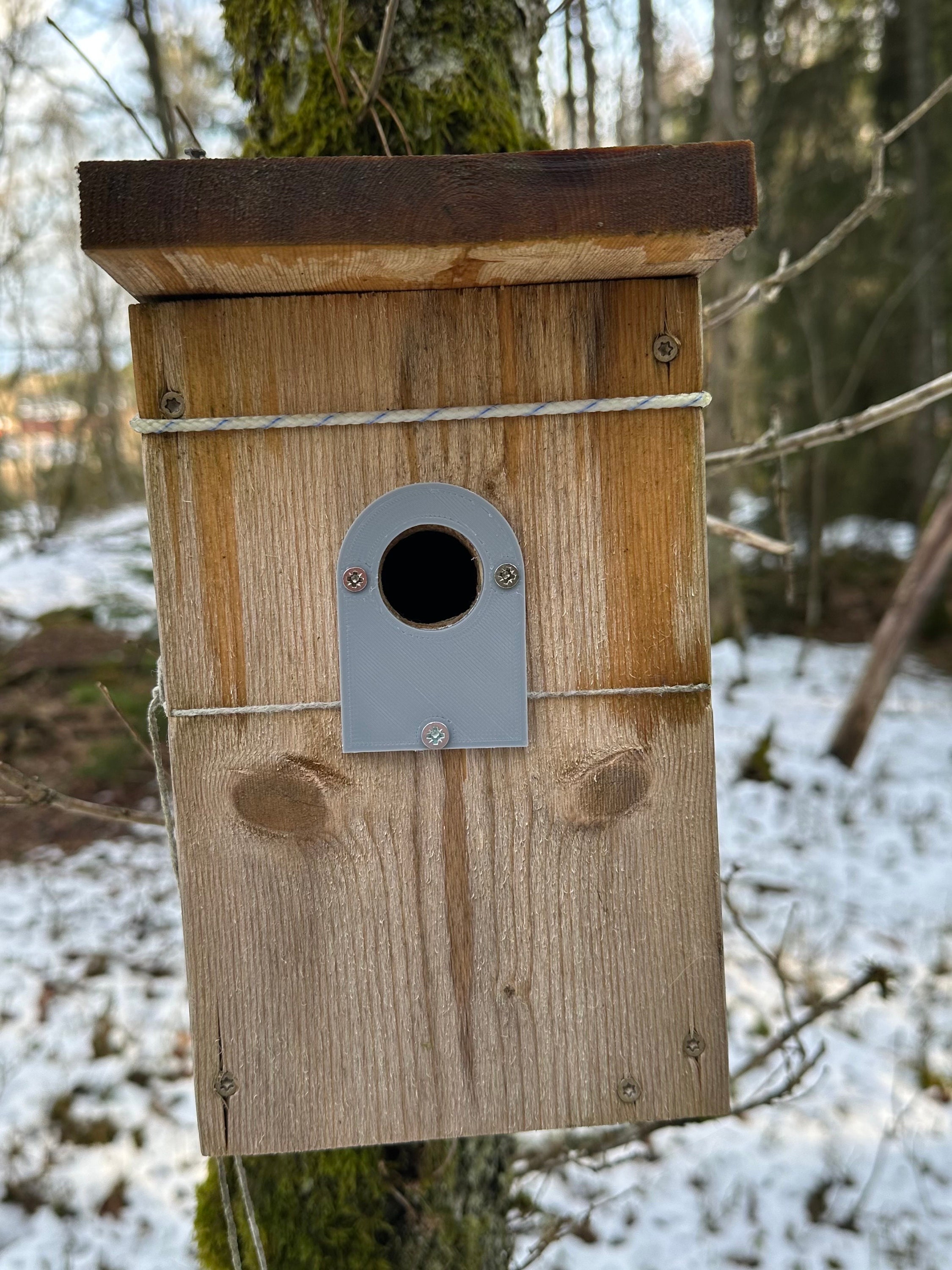 Bird Box Hole Protector Plate Different Hole Diameters - Etsy