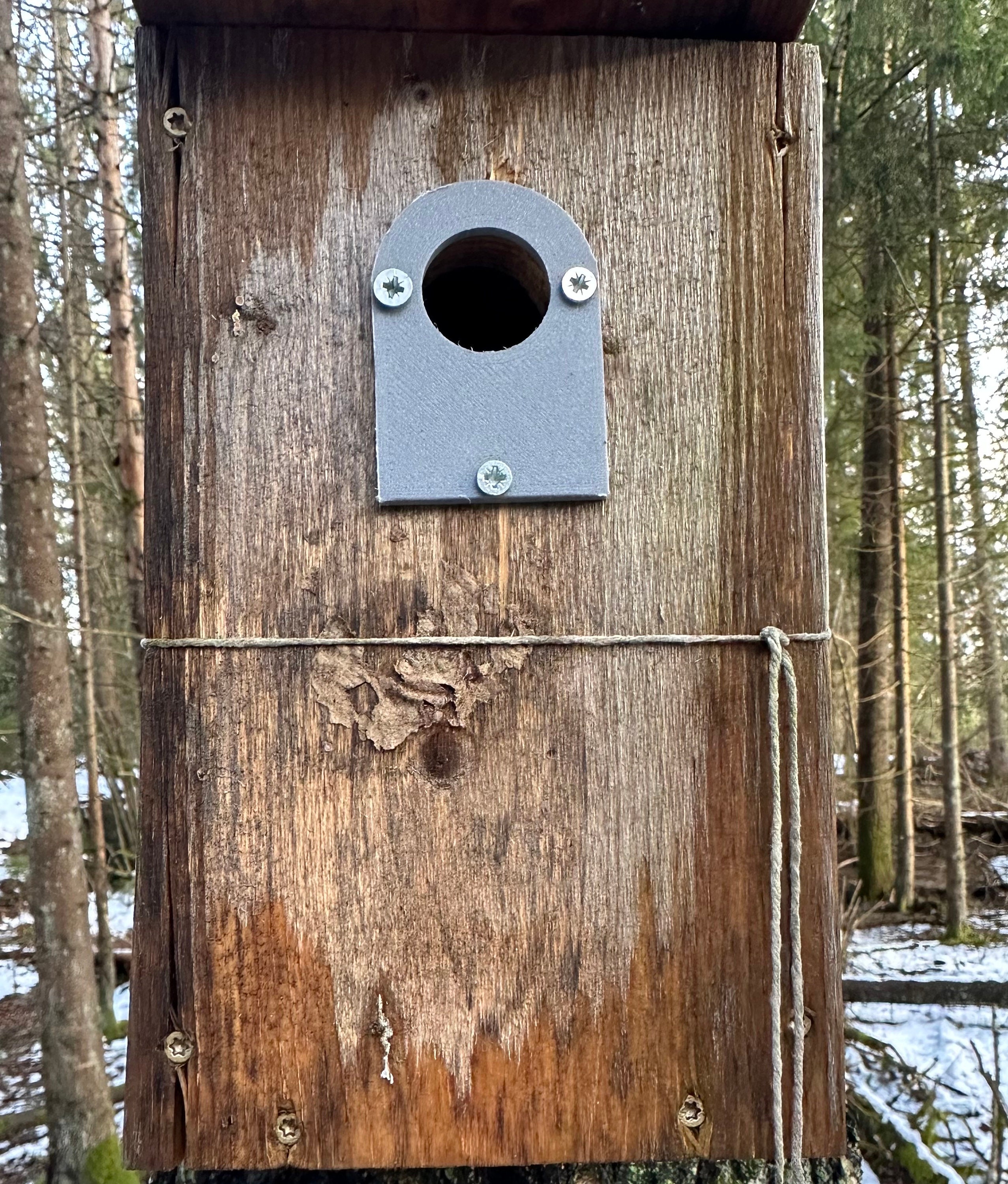 Bird Box Hole Protector Plate Different Hole Diameters - Etsy