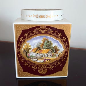 A Vintage Perfect Royal Cauldon Bristol Ironstone Tea Caddy