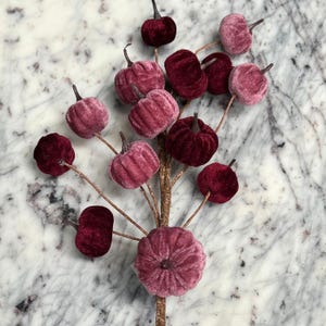 May include: A decorative autumn stem with velvet pumpkins in shades of burgundy and mauve. The pumpkins are attached to a brown stem, creating a seasonal arrangement. The pumpkins vary in size and shape, adding visual interest to the design.