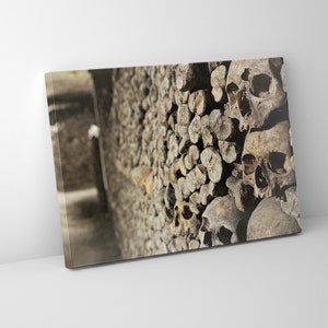 Paris France Catacombs Mounted Canvas - Ready to Hang - Premium Posters - Office Wall Decor - Gift
