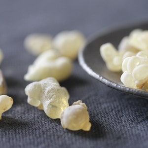 Frankincense Resin. Hojari Yellow. Boswellia Sacra