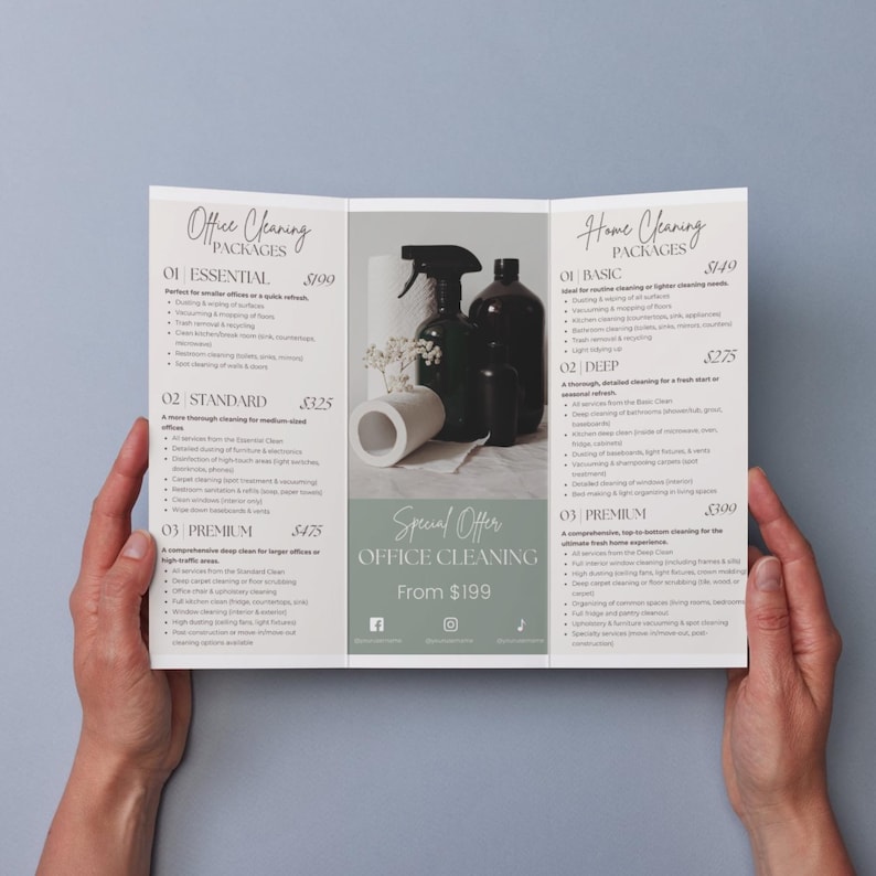 Puede incluir: Un folleto tr&iacute;ptico con un esquema de color verde y blanco. El folleto anuncia servicios de limpieza de oficinas y hogares con diferentes paquetes y precios. La parte delantera del folleto presenta una foto de productos de limpieza.