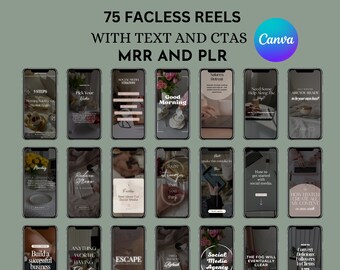 MRR Faceless Instagram Reels Coaching Templates Master Resell Rights & PLR Faceless Marketing Branding Kit Instagram Templates Sell On Etsy