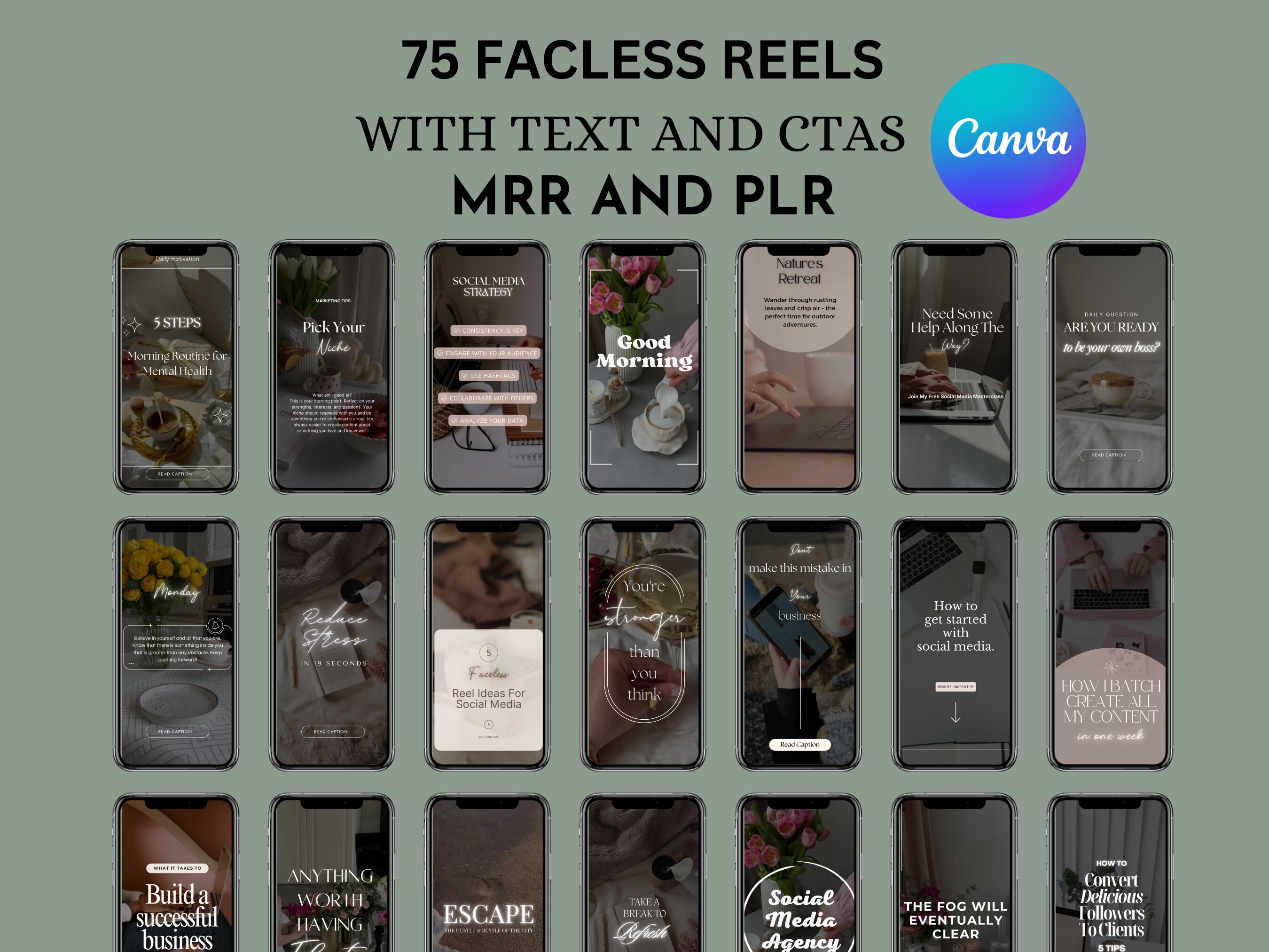 MRR Faceless Instagram Reels Coaching Templates Master Resell Rights ...