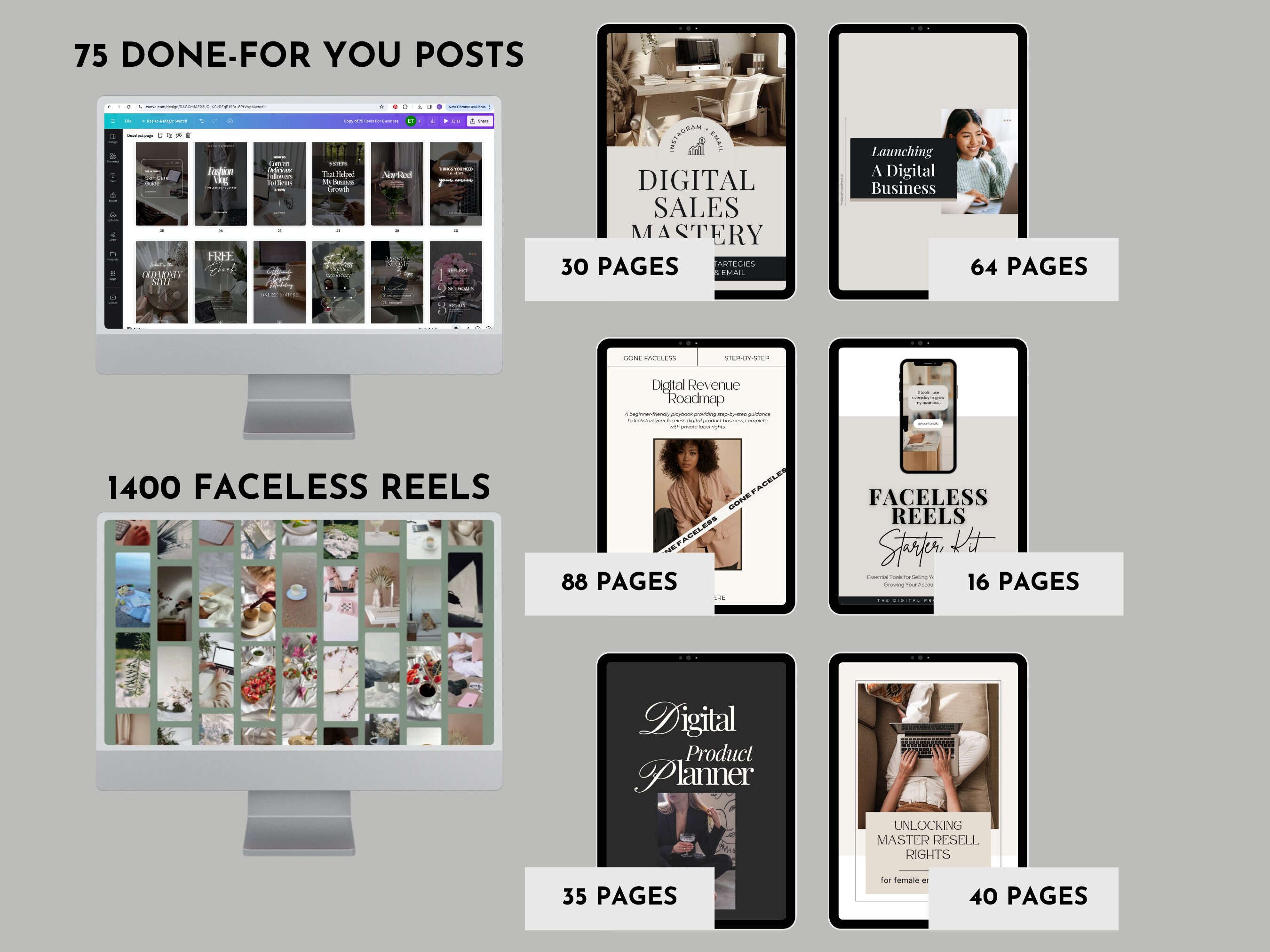 200 PLR MRR Done for You Digital Products Bundle Passive Income ...